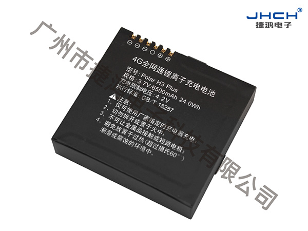 POLAR H3 PLUG